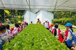 Nơi hội tụ những mô hình canh tác tiên tiến