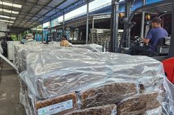 VRG: Giá cao su có thể vọt lên 3.300 USD/tấn vào năm 2030
