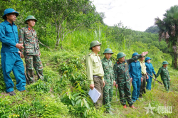Lực lượng vũ trang địa phương tỉnh Hà Tĩnh: Tuyến đầu ngăn 'giặc lửa'