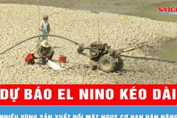 Dự báo El Nino kéo dài, nhiều vùng sản xuất đối mặt nguy cơ hạn hán nặng