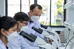 Chính phủ ban hành quy định về giảng viên đồng cơ hữu