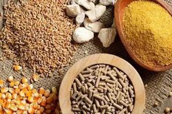 Thức ăn chăn nuôi chứa chất cấm có thể bị phạt đến 100 triệu đồng