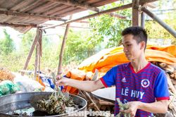 Giữ hương vị truyền thống qua những mẻ bánh ú tro dịp Tết Đoan Ngọ