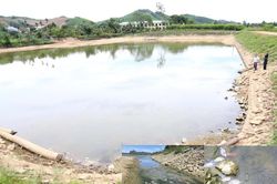 Lấy mẫu nước ở đập thủy điện xác định nguyên nhân cá chết bất thường