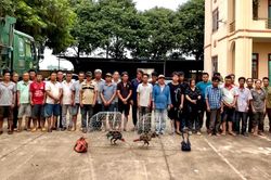 Lời khai của đối tượng tổ chức trường gà quy mô lớn ở Gia Lai
