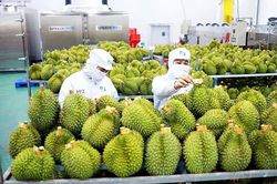 Vừa đón tin vui xuất siêu hơn 7 tỷ USD, nông sản Việt đối mặt 'cửa ải' mới