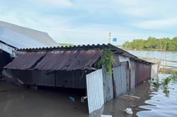 3 vụ sạt lở nghiêm trọng ở Cà Mau