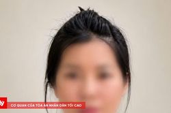 Khởi tố người phụ nữ lừa bán đất rừng, chiếm đoạt hơn 2,1 tỷ đồng