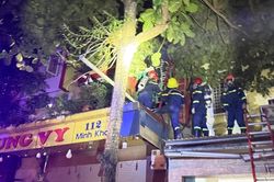 Giải cứu hai ông bà và cháu nhỏ mắc kẹt trong căn nhà bị cháy ở Thanh Hóa