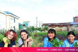 Gieo cơ hội từ những 'nhịp cầu' vượt đại dương