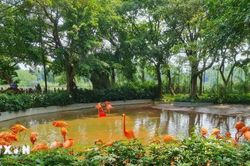 Công viên đất ngập nước Tinh Hồ - Trung tâm bảo tồn chim quý hiếm ở Trung Quốc