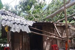 Cao Bằng: Thiệt hại do mưa lớn, sạt lở đất, đá