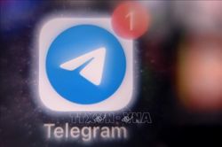 Bê bối rò rỉ đề thi khiến Ấn Độ tạm thời đóng băng Telegram