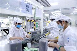 Các phương pháp, thông lệ quốc tế trong xác định giá trị tài sản trí tuệ - Thực tế tại Việt Nam