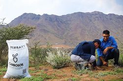 Công nghệ cải tạo đất mở ra triển vọng phục hồi hệ sinh thái sa mạc tại Saudi Arabia