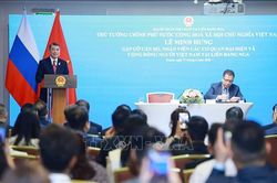 Thủ tướng gặp các cơ quan đại diện và cộng đồng người Việt Nam tại Liên bang Nga