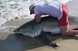 Ngư dân bất ngờ câu trúng 'quái vật' hơn 130kg và cái kết
