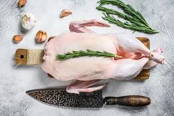 Mẹo nhổ lông vịt nhanh gọn, sạch lông măng mà nhiều người chưa biết