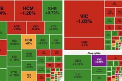 Áp lực từ cổ phiếu vốn hóa lớn, VN-Index giảm nhẹ dù thanh khoản cải thiện