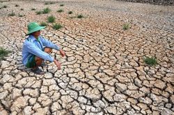 El Nino có thể mạnh như 10 năm trước, Việt Nam đối mặt kịch bản khô hạn ra sao?