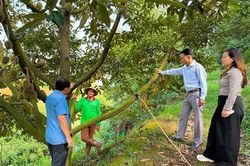 Đam Rông 2: Khơi sức dân trên hành trình xây dựng nông thôn mới