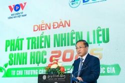 Nhiện liệu sinh học không chỉ góp phần bảo đảm an ninh năng lượng
