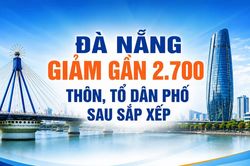 Bức tranh tinh gọn thôn, tổ dân phố Đà Nẵng qua những con số