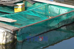 Huế yêu cầu tháo dỡ toàn bộ lồng bè trên sông Như Ý