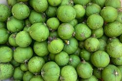 Từng là món ăn tuổi thơ, nay loại quả này xuất hiện trong nhiều nhà hàng