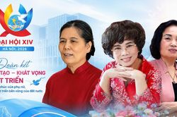 3 nữ l&atilde;nh đạo c&aacute;c tổ chức th&agrave;nh vi&ecirc;n, tổ chức x&atilde; hội được bầu v&agrave;o Ban Chấp h&agrave;nh TƯ Hội kh&oacute;a XIV