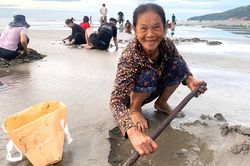 Nhọc nhằn nghề cào ngao tự nhiên trên biển Quỳnh xứ Nghệ
