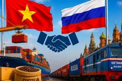Việt Nam - Nga: Mở rộng dư địa hợp tác thương mại song phương