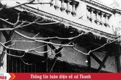 Ngày này năm xưa (17/6): Thành lập tổ chức Đông Dương Cộng sản Đảng