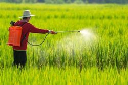 Cần hơn 11 năm để đưa một hoạt chất bảo vệ thực vật mới ra thị trường