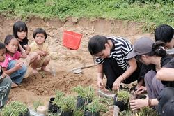 Chung tay xây dựng sân chơi cho trẻ em miền núi