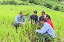 Trồng rừng cho lợi ích dài lâu