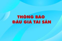Công ty Đấu giá Hợp danh Lam Sơn Sài Gòn thông báo đấu giá tài sản