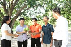 Đoàn công tác Hội Nông dân Việt Nam thăm mô hình xoài tại xã Cam Lâm