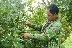 Cựu chiến binh trẻ giỏi làm kinh tế
