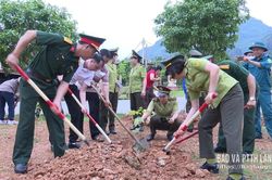 Hưởng ứng Ngày Thế giới chống sa mạc hóa và hạn hán năm 2026