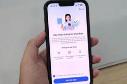 Cần làm gì khi số điện thoại bị khóa một chiều từ ngày 15/6?