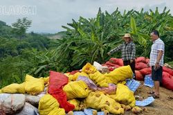 Người dân bức xúc vì hàng chục tấn rác thải đổ trộm tại phường Lào Cai