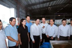 Thường trực Tỉnh ủy kiểm tra tiến độ Dự án Cụm Công nghiệp Bắc Văn Yên và Nhà máy Dâu tằm tơ Yên Bái