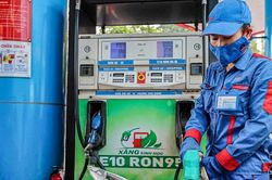 Chính phủ chốt lộ trình xăng E10: