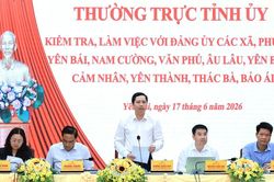 Phường Yên Bái phải phát huy vai trò trung tâm, động lực dẫn dắt phát triển của khu vực