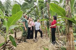 Chuẩn hóa vùng trồng, nâng sức cạnh tranh nông sản