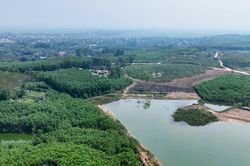 Chủ động phòng, chống cháy rừng