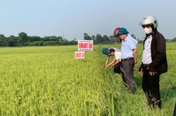 Lan tỏa những việc làm vì dân