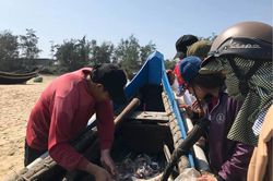 Mặn mòi từ biển