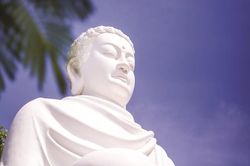 Nếu Đức Phật đi giữa thế giới hôm nay…